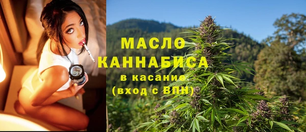 тгк Няндома