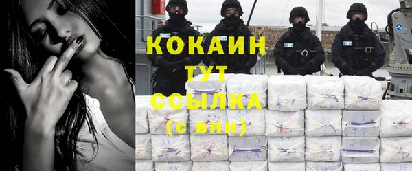 тгк Няндома